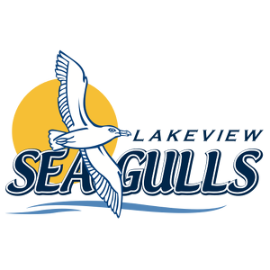 Team Page: Lakeview Elementary